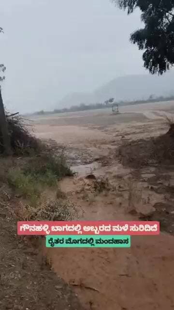 ಗೌಡಹಳ್ಳಿ ಗ್ರಾಮದಲ್ಲಿ ಮಳೆಯ ಅಬ್ಬರ #viral #viralvideo #rain #rainsounds #chitradurga