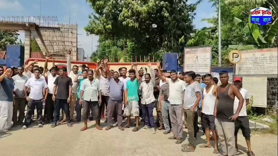 💢জারইলতলা গ্যাস প্ল্যান্টে বেহাল দশা, তিন ভেসেল বিকল, ম্যানেজারের বিরুদ্ধে গুরুতর অভিযোগ💢