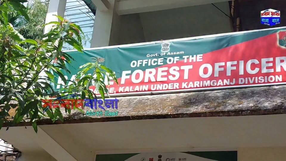 💢কালাইন বনবিভাগকে ম্যানেজ করে চলছে বন ধ্বংস যজ্ঞ, মূল্যবান গাছ কেটে বৈধ চালানের আড়ালে চলছে অবৈধ কাঠ বিক্রির রমরমা বাণিজ্য💢