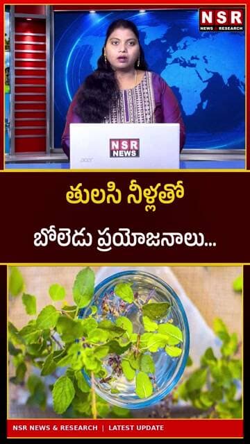 తులసి నీళ్లు తాగితే బోలెడు ప్రయోజనాలు! ఉదయాన్నే తాగితే ఏమవుతుందో తెలుసా? | NSR NEWS