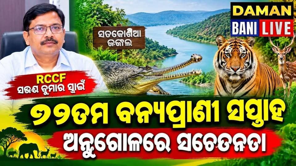 ଅନୁଗୋଳ ରେ "୭୨ତମ ବନ୍ୟପ୍ରାଣୀ ସପ୍ତାହ"ସଚେତନତା କାର୍ଯ୍ୟକ୍ରମ ଅନୁଷ୍ଠିତ#ଅନୁଗୋଳ#damanbanilive