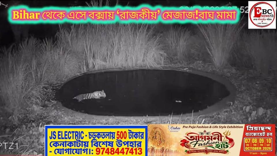 বক্সারের জঙ্গলে বাঘিনী।
#boxerforest