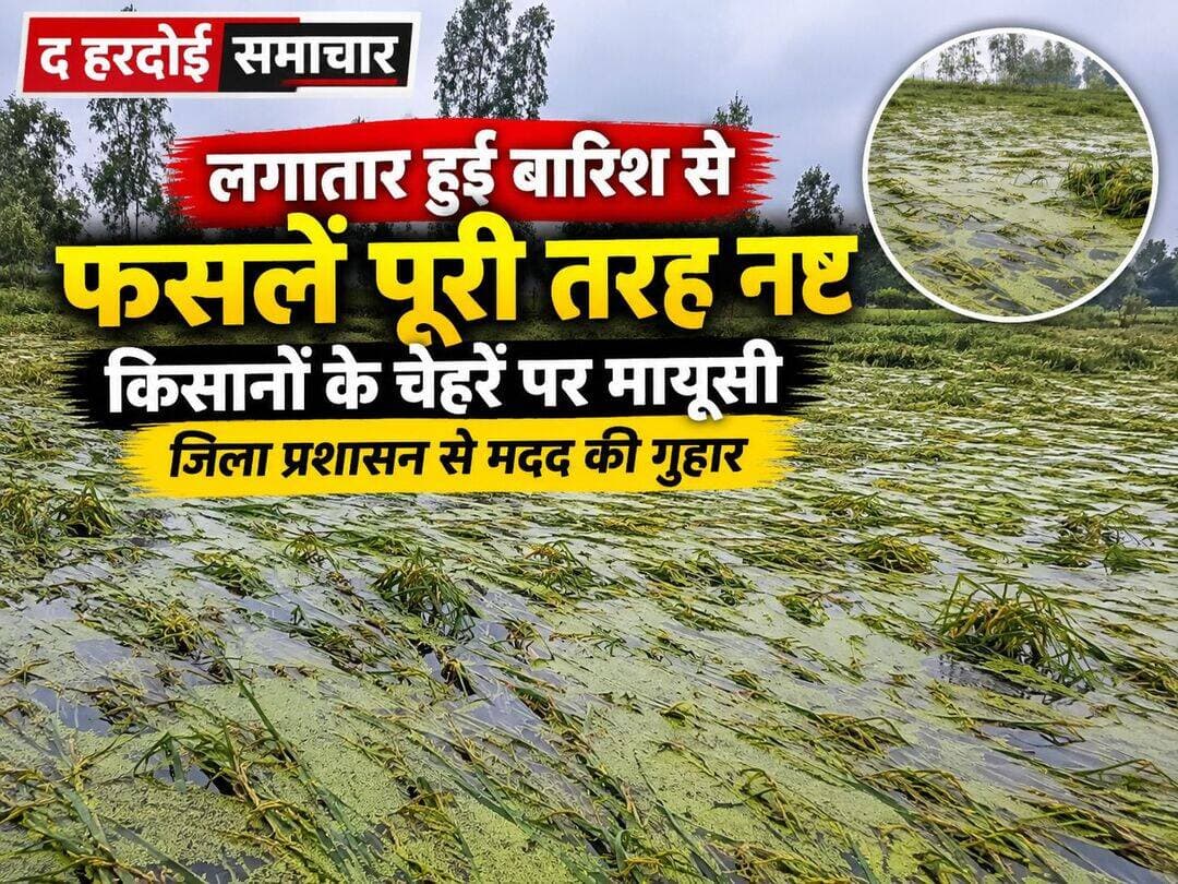 लगातार बारिश से धान की फसलें बर्बाद, किसानों के चेहरे पर मायूसी; जिला प्रशासन से मुआवजे की मांग
हरदोई। जिले में लगातार हो रही मूसलाधार बारिश ने किसानों की मुश्किलें बढ़ा दी हैं। खेतों में खड़ी धान की फसलें पानी में डूबकर बर्बाद हो गई हैं, जिससे किसानों के सामने आर्थिक संकट खड़ा हो गया है।
बिलग्राम तहसील क्षेत्र की ग्राम पंचायत बिरनी में सैकड़ों एकड़ धान की फसल जलमग्न होने से किसानों को भारी नुकसान हुआ है। पिछले कई दिनों से हो रही लगातार बारिश और नदियों के जलस्तर में बढ़ोतरी के चलते गांव के खेतों में पानी भर गया है। कई खेतों में दो से तीन फीट तक पानी जमा होने की बात सामने आई है।
किसानों के मुताबिक धान की फसल लगभग तैयार थी और उन्हें अच्छी पैदावार की उम्मीद थी। लेकिन लगातार बारिश के कारण फसल पानी में डूब गई और अब सड़ने लगी है। खेतों में चारों तरफ पानी ही पानी नजर आ रहा है। किसान अपनी आंखों के सामने मेहनत की फसल बर्बाद होते देखकर मायूस हैं।
स्थानीय किसानों ने बताया कि कई किसानों ने कर्ज लेकर धान की खेती की थी। फसल खराब होने से अब कर्ज चुकाने और परिवार का खर्च चलाने की चिंता सताने लगी है। किसानों का कहना है कि पानी की अधिकता के कारण अब फसल को बचाने की कोई उम्मीद नहीं है।
पीड़ित किसानों ने जिला प्रशासन और बिलग्राम तहसील प्रशासन से मांग की है कि राजस्व टीम भेजकर जल्द से जल्द फसल नुकसान का सर्वे कराया जाए और प्रभावित किसानों को नियमानुसार मुआवजा एवं राहत उपलब्ध कराई जाए, ताकि वे अगली फसल की तैयारी कर सकें।
अब किसानों की नजर प्रशासन की कार्रवाई पर है। किसानों का कहना है कि यदि समय रहते नुकसान का आकलन कर राहत नहीं दी गई तो उनकी आर्थिक स्थिति और खराब हो सकती है।