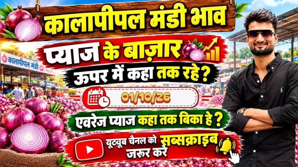 01 अक्टूबर 2026 को कालापीपल मंडी में प्याज का भाव