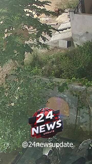 बेड़वास में अलसुबह लेपर्ड की दस्तक! कुत्तों के भौंकने पर झाड़ियों में छिपा, कॉलोनी में दहशत