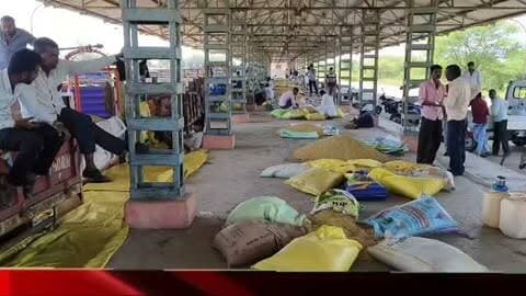 मोहन बड़ोदिया मंडी में सोयाबीन ₹5901 प्रति क्विंटल तक बिका, गांधी जयंती पर शुक्रवार को मंडी बंद रहेगी