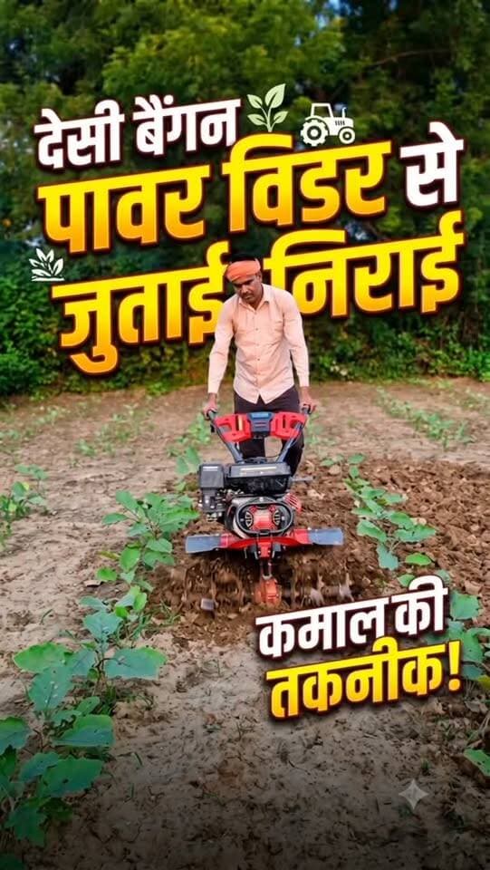 🌱 देसी बैंगन की कतारों में पावर वीडर से जुताई का कार्य किया जा रहा है। 🚜🌿 प्राकृतिक खेती की ओर एक कदम।
#प्राकृतिकखेती #देसीबैंगन #जैविकखेती #किसान #खेतीबाड़ी