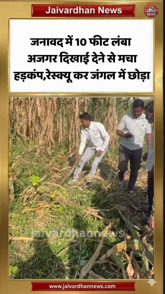 राजसमंद के जनावद में 10 फीट लंबा अजगर दिखाई देने से मचा हड़कंप, रेस्क्यू कर जंगल में छोड़ा #rajsamandnews