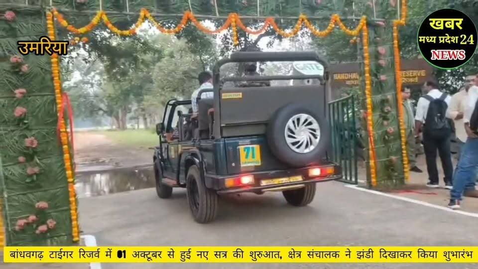 बांधवगढ़ कोर जोन में सफारी 01 अक्टूबर से हुई पुनः प्रारंभ.