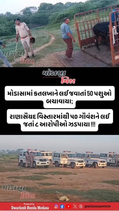 #Modasa #modasacity #marumodasa #modasamirror #aravalli