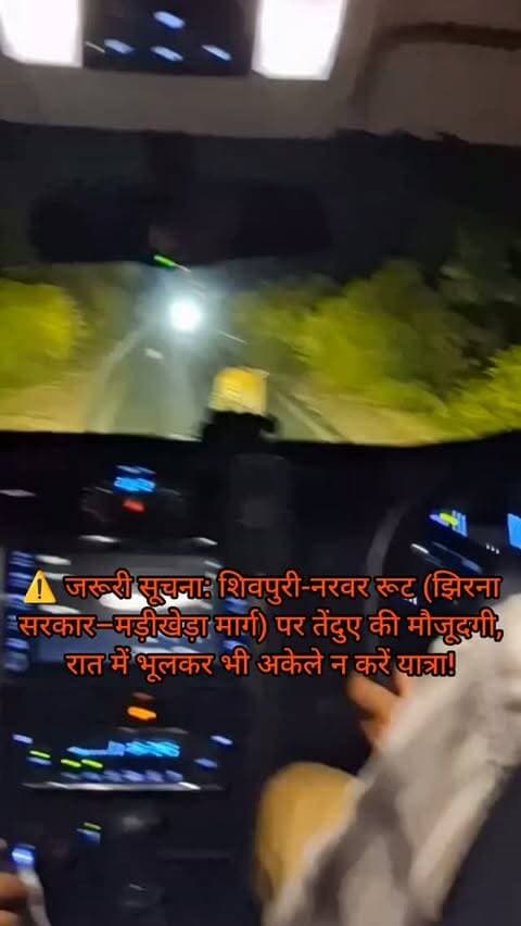 ⚠️ जरूरी सूचना: शिवपुरी - नरवर रूट (झिरना सरकार–मढ़ीखेड़ा मार्ग) पर तेंदुए की मौजूदगी, रात में भूलकर भी अकेले न करें यात्रा!
