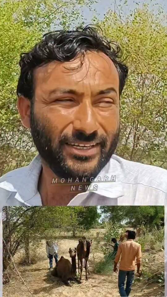 बांकलसर रोड पर आज्ञात वाहन की ट!क्कर से राज्य पशु घा!यल....
#jaisalmer #barmer #Bikaner #jodhpur Rajasthan Police