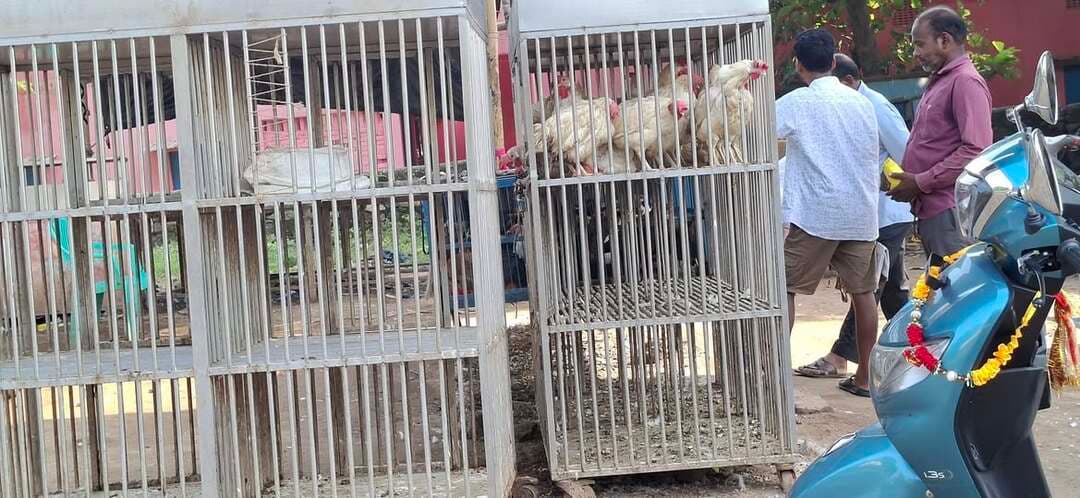 गांधी जयंती के अवसर पर नगरपरिषद के आदेश के बावजूद भारत भवन में खुली है चिकन शॉप,