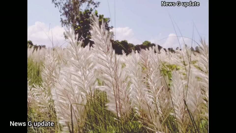 শারদ শুভেচ্ছায় খোয়াই শিব শংকর এন্টারপ্রাইজ **!