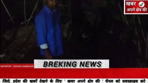 एक भैंस और दो बछड़े विचरण करते पहुंचे मोहन बड़ोदिया, बाड़े में सुरक्षित बाँधी