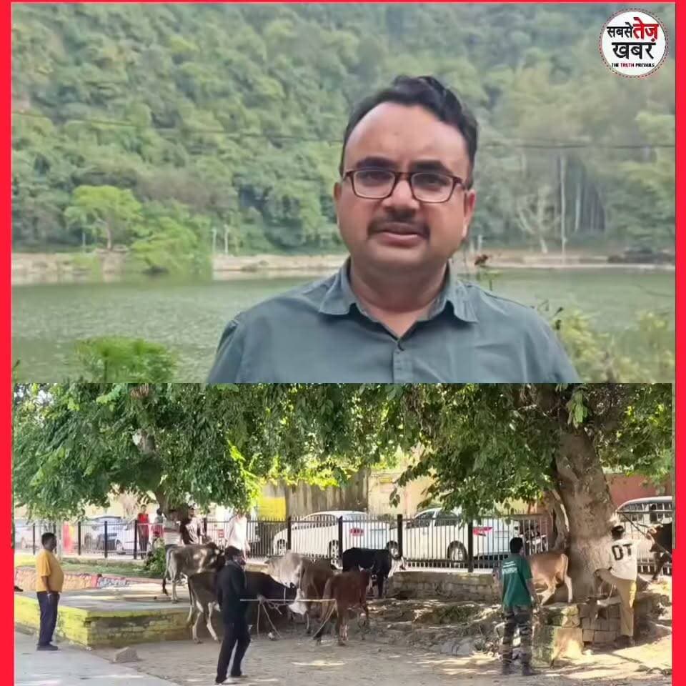 नाहन : आवारा पशुओं पर प्रशासन की बड़ी कार्रवाई,7 पशुओं को भेजा गया कोटला बड़ोग गौशाला ,अधिक जानकारी दे रहे नाहन SDM राजीव संख्यान*