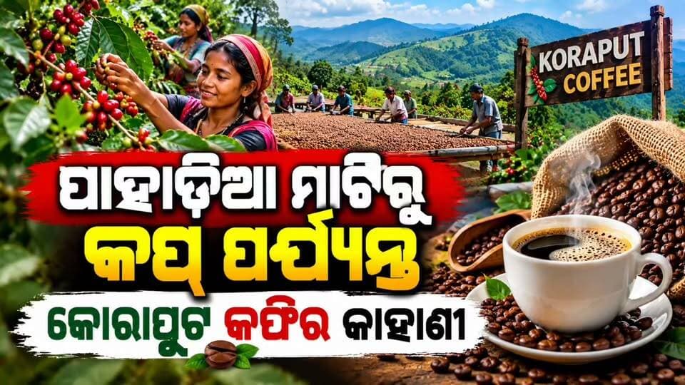#ପାହାଡ଼ିଆ_ମାଟିରୁ_କପ୍_ପର୍ଯ୍ୟନ୍ତ_କୋରାପୁଟ_କଫିର_କାହାଣୀ!
କୋରାପୁଟର ସବୁଜ ପାହାଡ଼ ଓ ଉର୍ବର ମାଟିରେ ଚାଷ ହେଉଥିବା କଫି ଏବେ ନିଜର ନିଆରା ସ୍ୱାଦ ଓ ସୁଗନ୍ଧ ପାଇଁ ପରିଚିତ ହେଉଛି। 🌱☕
କଫି ଚାଷଠାରୁ ଆରମ୍ଭ କରି ବିନ୍ ପ୍ରସ୍ତୁତି ଓ ଶେଷରେ କପ୍ରେ ପହଞ୍ଚିବା ପର୍ଯ୍ୟନ୍ତ—ଏହା ପଛରେ ରହିଛି ଚାଷୀଙ୍କ ପରିଶ୍ରମ ଓ କୋରାପୁଟର ମାଟିର ଅବଦାନ। ❤️
📍 କୋରାପୁଟ | ଓଡ଼ିଶା
☕ ଆପଣ କୋରାପୁଟ କଫିର ସ୍ୱାଦ ନେଇଛନ୍ତି କି?
ନିଜ ଅନୁଭୂତି କମେଣ୍ଟରେ ଜଣାନ୍ତୁ। 👇
#KoraputCoffee #Koraput #OdishaCoffee #CoffeeLovers #KoraputTourism #କୋରାପୁଟକଫି #କୋରାପୁଟ #କଫିଚାଷ #ଓଡ଼ିଶାପର୍ଯ୍ୟଟନ #News11Odia