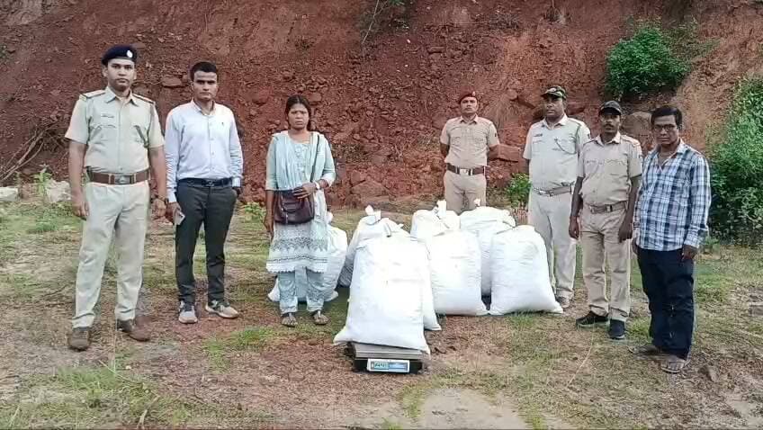 କେତେ ପରିମାଣ ର ଗଂଜେଇ ଜବତ ଦେଖନ୍ତୁ ଭିଡିଓ I କିନ୍ତୁ ଖସିଗଲା ମାଫିଆ I
