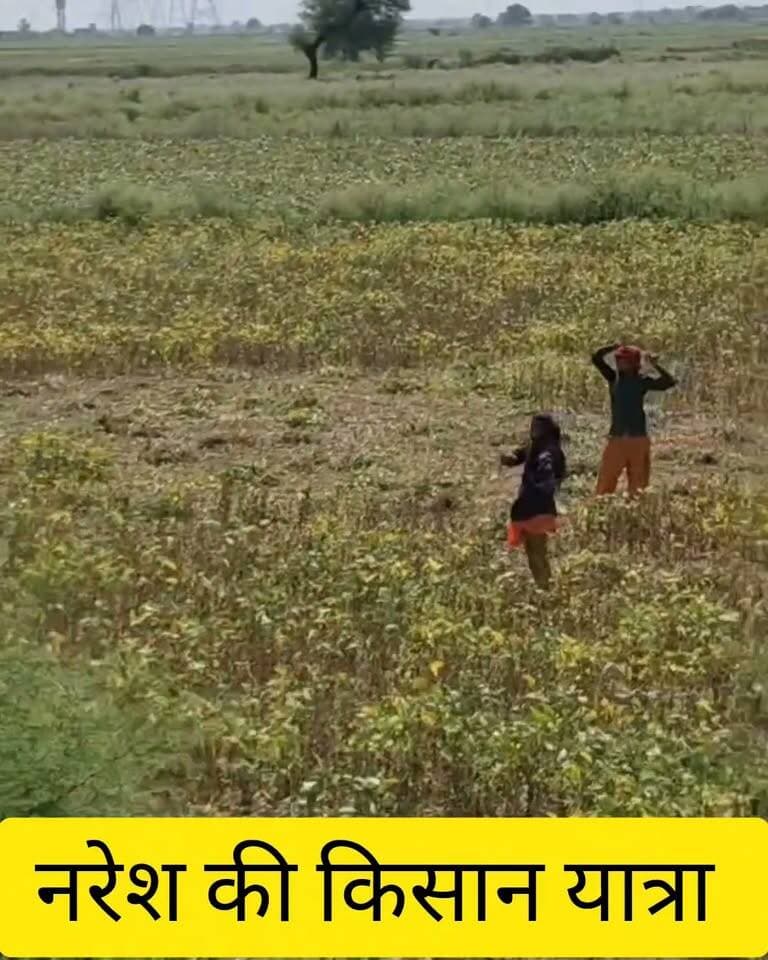 Naresh Meena किसानों की मांगों को लेकर नरेश मीणा का संघर्ष जारी
हाड़ौती संभाग एवं टोंक जिले के किसानों की मांगों को लेकर किसान नेता नरेश भाईसाहब का आमरण अनशन एवं जयपुर कूच जारी है,
किसानों के हक और उनकी समस्याओं के समाधान की मांग को लेकर आंदोलन लगातार आगे बढ़ रहा है।
#NareshMeena #किसानआंदोलन #देवलीउनियारा #हाड़ौती #किसान_की_आवाज़
Naresh meena fans Naresh_meena_team