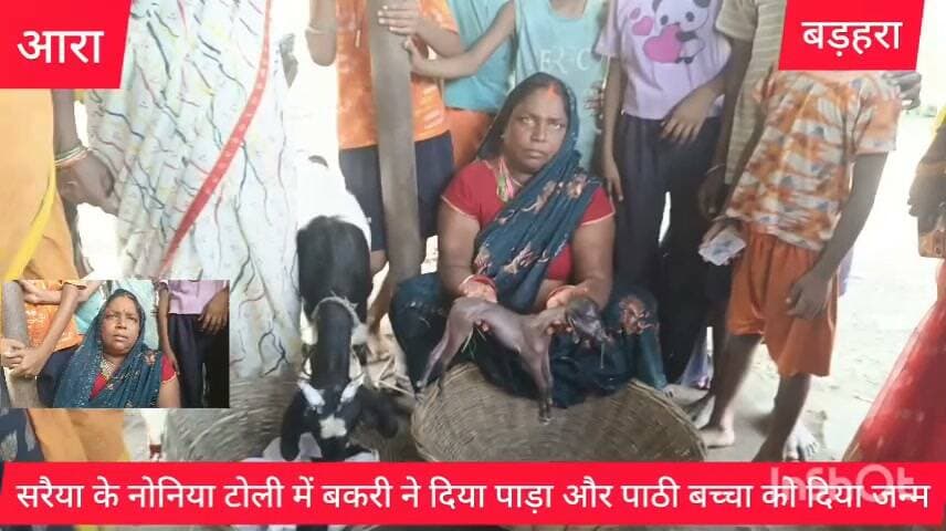 सरैया बाजार में अनोखी घटना, बकरी ने दिया पाड़ा और एक पाठी के बच्चे ने लिया जन्म
सरैया बाजार स्थित नोनिया टोली में रविवार को एक अनोखी घटना लोगों के बीच चर्चा का विषय बन गई। यहां एक बकरी ने एक पाड़े को जन्म दिया, जबकि दूसरी बकरी ने एक बच्चे को जन्म दिया। घटना की जानकारी मिलते ही आसपास के लोग मौके पर पहुंच गए और इसे देखने के लिए लोगों की भीड़ जुट गई। स्थानीय लोगों के बीच बकरी द्वारा पाड़े को जन्म देने की बात कौतूहल का विषय बनी हुई है।