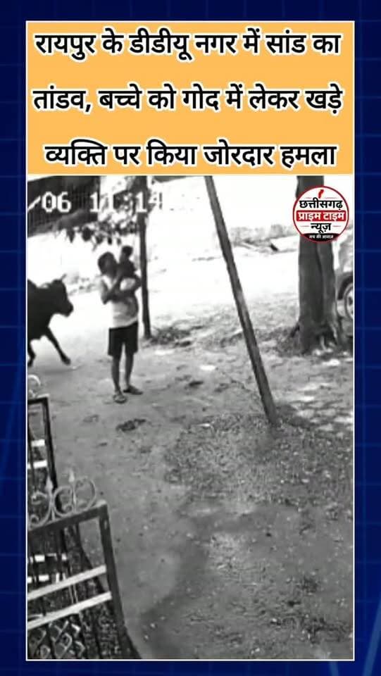 रायपुर के डीडीयू नगर में सांड का तांडव, बच्चे को गोद में लेकर खड़े व्यक्ति पर किया जोरदार हमला
राजधानी रायपुर के दीनदयाल उपाध्याय नगर सेक्टर-2 में सांड ने घर के बाहर बच्चे को गोद में लिए व्यक्ति पर अचानक हमला कर दिया। घटना के बाद मौके पर हड़कंप मच गया। स्थानीय रहवासियों ने आवारा पशुओं की समस्या को लेकर नगर निगम से कार्रवाई की मांग की है।
#RaipurNews #ChhattisgarhNews #DDUNagar #StrayCattle #RaipurNewsToday