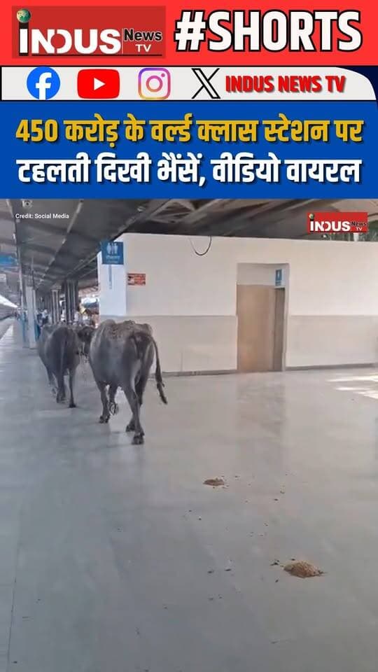 भोपाल के रानी कमलापति रेलवे स्टेशन पर भैंसों के गोबर करने और प्लेटफॉर्म पर घूमने का वीडियो वायरल
#bhopal #MadhyaPradesh #ranikamlapatirailwaystation #viralvideoシ #buffalo #railway #railwaystation #RailwayNews #NewsUpdate #viral #viralreels #viralpost #viralreelsシ #BreakingNews #LatestNews #newsfeed #shorts #reelsviralシ #reelsvideo #reelsviral #reels #reelsfbシ #newseason #newstock #NewsAlert #shortsreels #shortsfeed #shortsviral #indianrailways #PMModiji #ViksitBharat #MadhyaPradeshNews #bhopalnews #bhopalupdate #MPNews #mohanyadav #BJPGovernment #cmmohanyadav #MohanYadavCM #NewsAlert