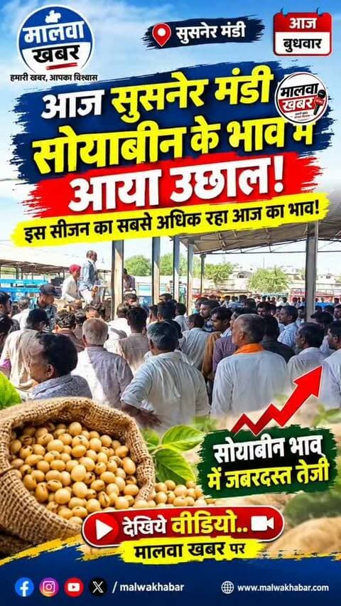 सुसनेर: बुधवार को मंडी में सोयाबीन के भाव मे आया उछाल, इस सीजन का सबसे अधिक रहा आज का भाव!
#Susner #SusnerMandi #AgarMalwa #Soybean #SoybeanPrice MandiBhav MandiNews SoybeanMarket FarmersNews KisanNews MadhyaPradesh MPNews MalwaKhabar SusnerNews AgarMalwaNews MandiUpdate Kisan AgricultureNews SoybeanBhav LatestNews