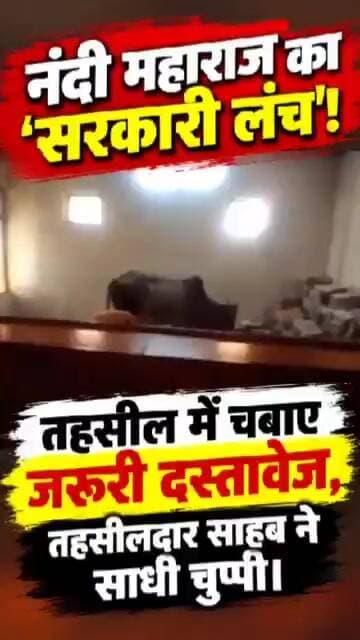 नंदी महाराज का 'सरकारी लंच'! तहसील में चबाए जरूरी दस्तावेज, तहसीलदार साहब ने साधी चुप्पी।