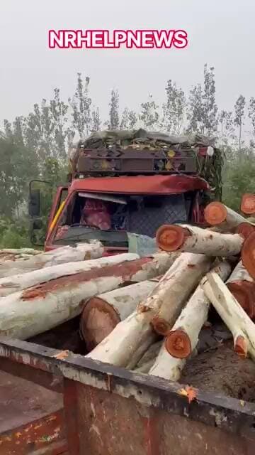 तहसील मिलक के रौरा बाईपास पर बेहद दर्दनाक सड़क हादसा। बाल बाल बचे लोग।।