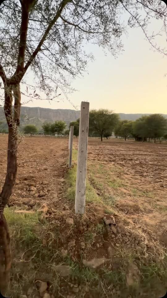 जोहड़ वाली जमीन का रजामंदी हुई 10/10/2026