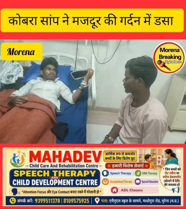 मुरैना में कोबरा ने गर्दन पर गड़ा दिए दांत, मरणासन्न हालत में कुथियाना गांव से पहुंचा मजदूर, डॉ. अनिल व्यास की टीम ने मुरैना में ही बचाई जान, आईसीयू में भर्ती
मुरैना। बाजरे की फसल काटने आए झांसी के एक मजदूर को कोबरा सांप ने गर्दन पर डस लिया। सांप के काटने के बाद मजदूर की हालत इतनी गंभीर हो गई कि उसके बचने की उम्मीद भी मुश्किल नजर आ रही थी, जब उसे गंभीर हालत में मुरैना जिला अस्पताल लाया गया, तब चिकित्सकों ने तत्काल उपचार शुरू किया। इस दौरान डॉ. अनिल व्यास और उनकी टीम ने मानवीय संवेदनशीलता, तत्परता और चिकित्सकीय प्रयासों से मरीज की जान बचा ली।
जानकारी के अनुसार, शिवम पुत्र हरगोविंद निवासी झांसी बाजरे की फसल काटने के लिए कुथियाना गाँव में खेत पर आया हुआ था। इसी दौरान कोबरा सांप ने उसकी गर्दन पर खेत में आराम करते समय डस लिया। सांप के काटने के बाद उसकी हालत बिगड़ने लगी। साथी मजदूर उसे तत्काल अस्पताल ले जाने के बजाय पहले झाड़-फूंक कराने में लगे रहे। जब उसकी �