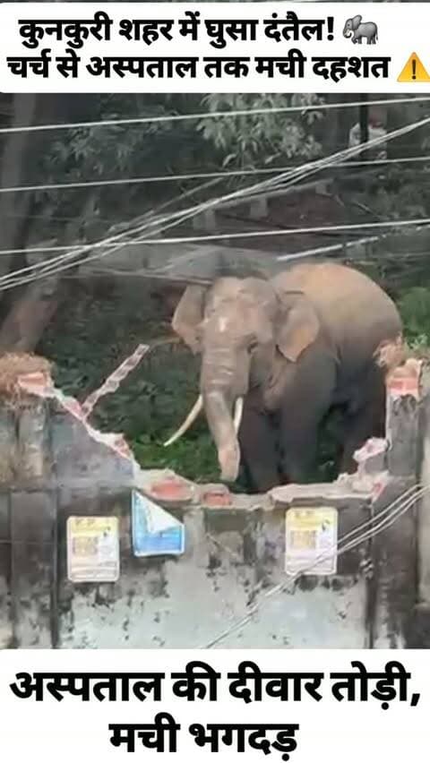 जशपुर जिले के कुनकुरी शहर में घुसा दंतैल हाथी! 🐘 चर्च से अस्पताल तक मची अफरा-तफरी, बाउंड्रीवॉल तोड़कर जय स्तंभ चौक तक पहुंचा हाथी। गनीमत रही कि कोई जनहानि नहीं हुई।
#Kunkuri #Jashpur #Chhattisgarh #Elephant #JashpurNews कुनकुरी जशपुर छत्तीसगढ़ BreakingNews