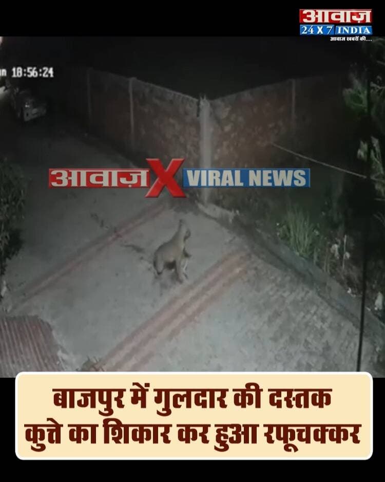 बाजपुर में गुलदार की दस्तक, कुत्ते का शि*कार कर हुआ रफूचक्कर! सीसीटीवी में कैद वीडियो
#AwaazIndiaDigital #Uttarakhand #Bazpur #Guldar #Leopard #CCTVFootage #BazpurPolice #ViralNews