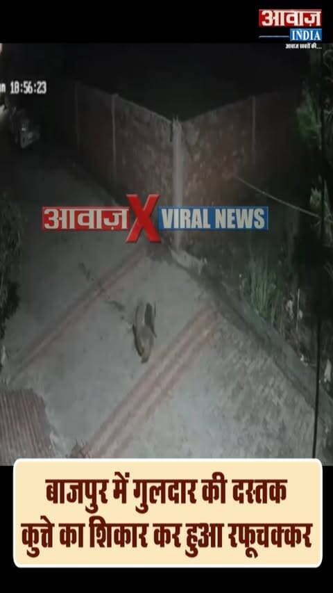 बाजपुर में गुलदार की दस्तक, कुत्ते का शिकार कर हुआ रफूचक्कर! सीसीटीवी में कैद वीडियो
#AwaazIndiaDigital #Uttarakhand #Bazpur #Guldar #Leopard #CCTVFootage #BazpurPolice #ViralNews