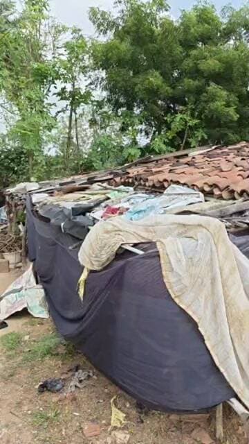 🚨 दर्दनाक तस्वीर: भंडारो गांव में जर्जर मिट्टी के घर में रहने को विवश वृद्ध महिला, आखिर कब जागेगा प्रशासन?
📍 खोरिमहुआ अनुमंडल | जमुआ प्रखंड | गिरिडीह, झारखंड
गिरिडीह जिले के जमुआ प्रखंड अंतर्गत भंडारो गांव से एक ऐसी तस्वीर सामने आई है, जो सरकारी योजनाओं और जनसेवा के दावों पर सवाल खड़े करती है। यहां एक वृद्ध महिला जर्जर मिट्टी के आवास में रहने को विवश हैं। घर की हालत देखकर उनकी कठिनाइयों का अंदाजा लगाया जा सकता है।
😔 आखिर कब तक अभाव और मजबूरी में गुजरेगी इनकी जिंदगी?
एक ओर सरकार गरीबों और जरूरतमंदों को पक्का मकान सहित विभिन्न जनकल्याणकारी योजनाओं का लाभ देने की बात करती है, वहीं दूसरी ओर इस वृद्ध महिला की स्थिति उनकी मदद के लिए पहल किए जाने की जरूरत को सामने लाती है।
सवाल यह है कि क्या जनप्रतिनिधियों और स्थानीय प्रशासन की नजर इस बुजुर्ग महिला की स्थिति पर पड़ेगी? क्या इन्हें सरकारी आवास और अन्य जरूरी सुविधाओं का लाभ मिल पाएगा?
🙏 आपसे अपील है: इस वीडियो को अधिक से अधिक लोगों तक शेयर करें, ताकि यह आवाज जनप्रतिनिधियों, प्रशासन और संबंधित अधिकारियों तक पहुंचे और वृद्ध महिला को सरकारी योजनाओं का लाभ दिलाने की दिशा में पहल हो सके।
📢 आपका एक शेयर किसी जरूरतमंद की जिंदगी में बदलाव लाने का माध्यम बन सकता है।
PNA NEWS INDIA — खबर हर हाल में!
#Bhandaro #Jamua #KhoriMahua #GiridihNews #JharkhandNews #गरीब_की_आवाज #वृद्धमहिला #जर्जरमकान #सरकारीआवास #आवासयोजना #जनसमस्या #प्रशासन_जागो #PNAnewsIndia