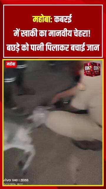 Mahoba News: सड़क किनारे बेसुध बछड़े को Kabrai SHO ने पिलाया पानी | पुलिस का मानवीय चेहरा