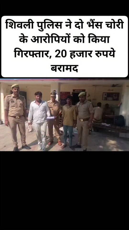 शिवली पुलिस ने दो भैंस चोरी के आरोपियों को किया गिरफ्तार, 20 हजार रुपये बरामद