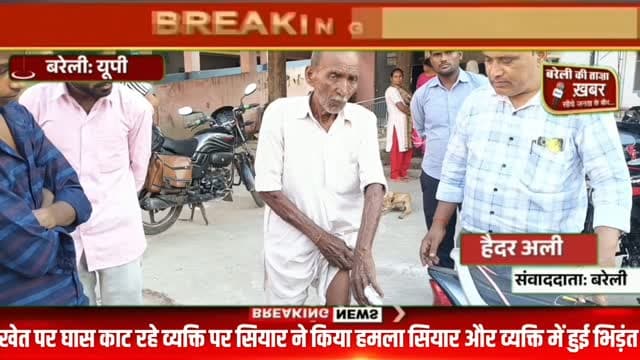 खेत में घास काट रहे व्यक्ति पर सियार ने किया हमला व्यक्ति हुआ घायल सियार की और व्यक्ति की हुई भिड़ंत व्यक्ति ने सियार को उतारा मौत के घाट #viral #flowers #bareilly #up #news