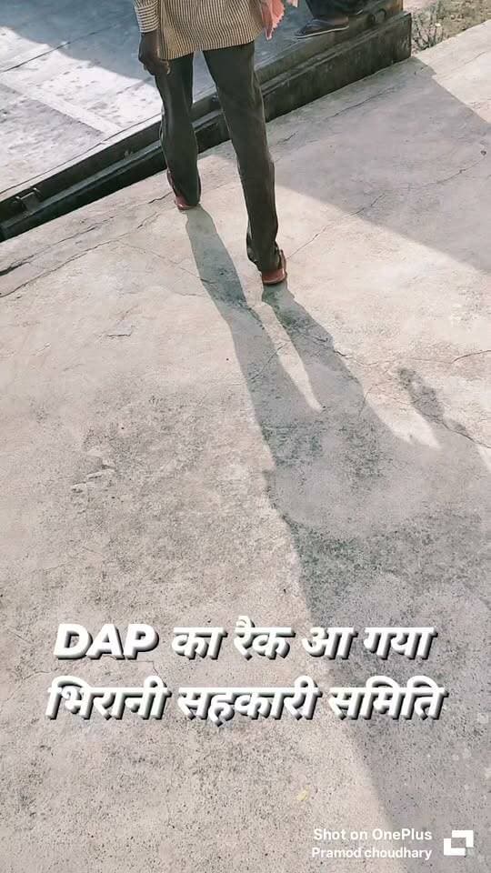 DAP खाद का रैक आ गया है भिरानी सहकारी समिति में