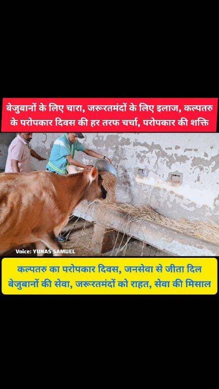 कल्पतरु का परोपकार दिवस: गौसेवा से लेकर नि:शुल्क नेत्र जांच तक, जनसेवा की अनूठी पहल
#panchkula #pinjore #kalka #news #HaryanaNews #parwanoo #haryana #HMT