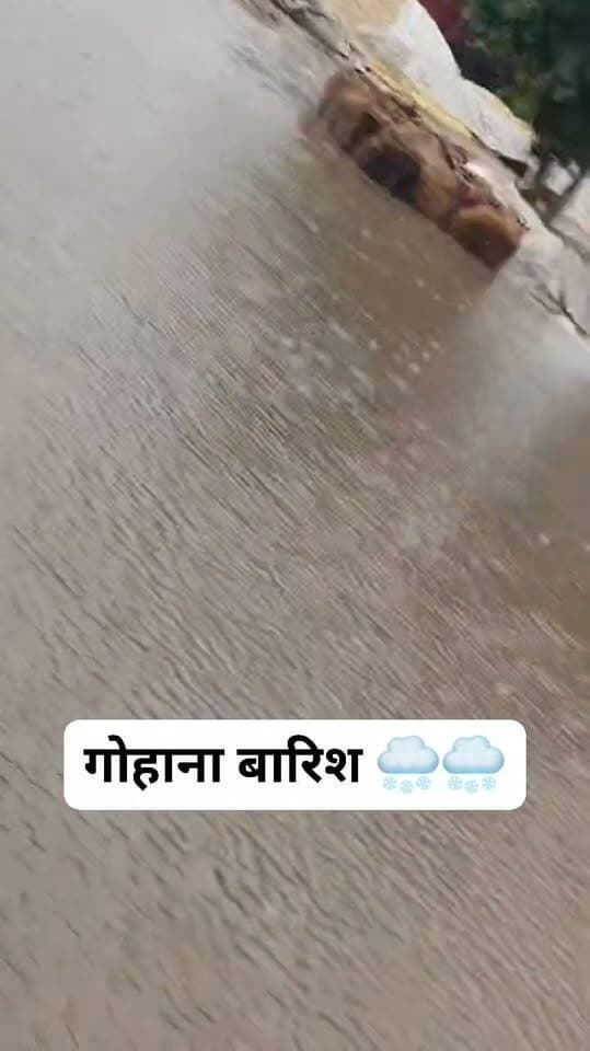 जोरदार बारिश 🌨️🌨️ गोहाना मंडी