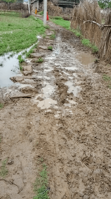 Mera gaon ka road dekh lo bhai mukhiya Shri vote mangta hai vote mangta hai Janata ka pareshani nahin dekhta hai kya par