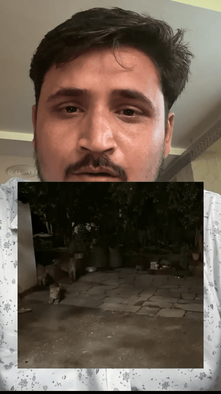 उत्तराखंड के रानीखेत में रात को एक घर के बाहर तीन तेंदुए आ धमके। काफ़ी देर तक घर के बाहर डेरा जमाने के बाद वो वहाँ से गए। #viralvídeo #virałpost
