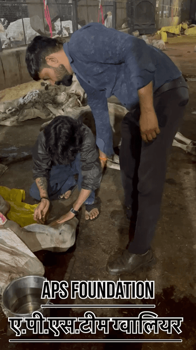 दुनिया इतनी बहरहम कैसे हो सकती है?
Respect Girls help poor help animals
#apsgurjar #viral #gwalior