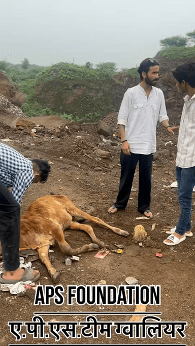 इस बच्चे को तीन लोग काटने के लिए ले गए थे। लड़के तो किसी तरह भाग निकले, लेकिन हम बच्चे की जान नहीं बचा पाए।..!
#apsgurjar #viral #gwalior