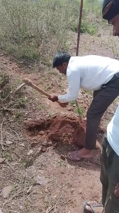 आज उदयपुरा में हमारे सभी भाइयों ने मिलकर हमने वृक्षारोपण किया है।
हमने 1000 पेड़ लगाए हैं
कुछ लोगों के द्वारा हमारे