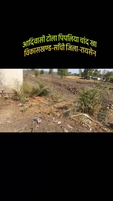 आदिवासी टोला पिपलिया चांद खा विकासखण्ड साँची जिला रायसेन कोई कार्यवाही नहीं हो रही हैं कृपया उचित कार्यवाही करें महोदय ग्राम पंचायत में रोड भी नहीं है कृपया ध्यान दें #raisen #sanchi