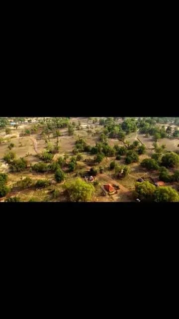 सुकमा के गुमड़ी जैसे सुदूर और दुर्गम गांव में जब मुख्यमंत्री स्वस्थ बस्तर अभियान के तहत स्वास्थ्य विभाग की टीम पहुंची, तो उनकी मुलाकात नन्हे गणेश जैसे बच्चों से हुई जो पोषण की कमी से अक्सर बीमार रहते थे, स्वास्थ्य विभाग की टीम ने प्राथमिकता से इनकी मदद की, जिससे आज वे स्वस्थ हैं और उनका परिवार खुश है। स्वास्थ्य कैंप लगने लोगों को बड़ी राहत मिली है, बच्चों से लेकर बुजुर्गों तक को जांच और इलाज के साथ जरूरी सलाह भी मिल रही है।
सुशासन सरकार का यही संकल्प है, प्रदेश के अंतिम व्यक्ति तक बेहतर स्वास्थ्य सेवाएं पहुंचाना।
#MukhyamantriSwasthBastarAbhiyan #TribalDevelopment #HealthcareForAll
#मुख्यमंत्री_स्वस्थ_बस्तर_अभियान