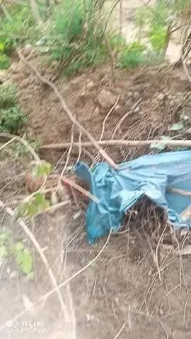 मरवाही क्षेत्र के ग्राम पाथर्री का निवासी
लिखारी यादव गांजा उगता है बेचता है