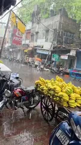 बहराइच: बहराइच जिले में मौसम ने ली करवट, कई इलाकों में झमाझम बारिश से मौसम हुआ खुशनुमा